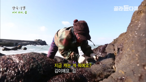 갑작스런 기상악화로 섬에 갇혀버린 제작진