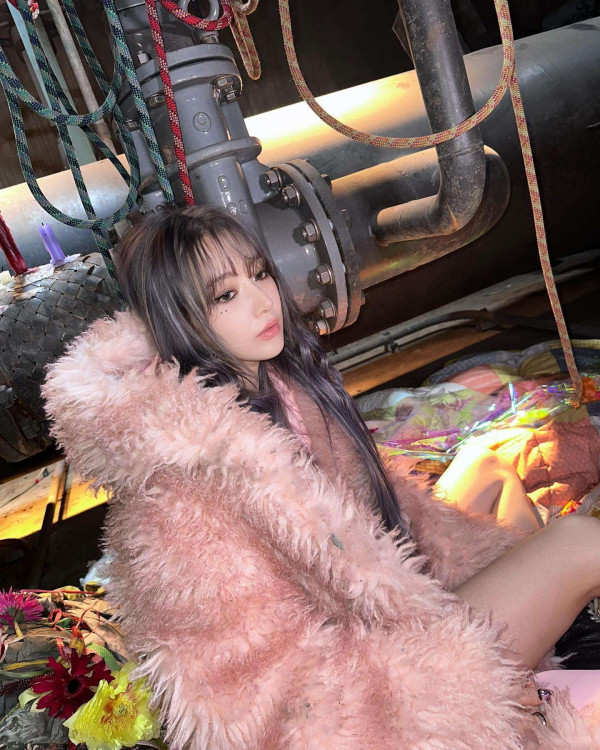 보일러실에서 르세라핌 사쿠라