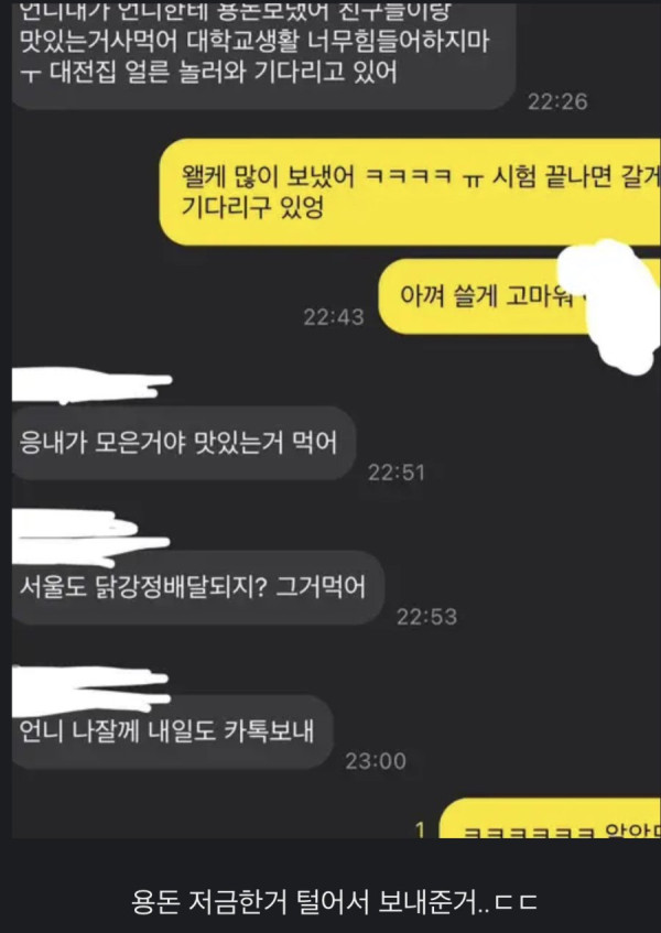 초등학생 동생이 언니가 걱정되서 용돈보내줌