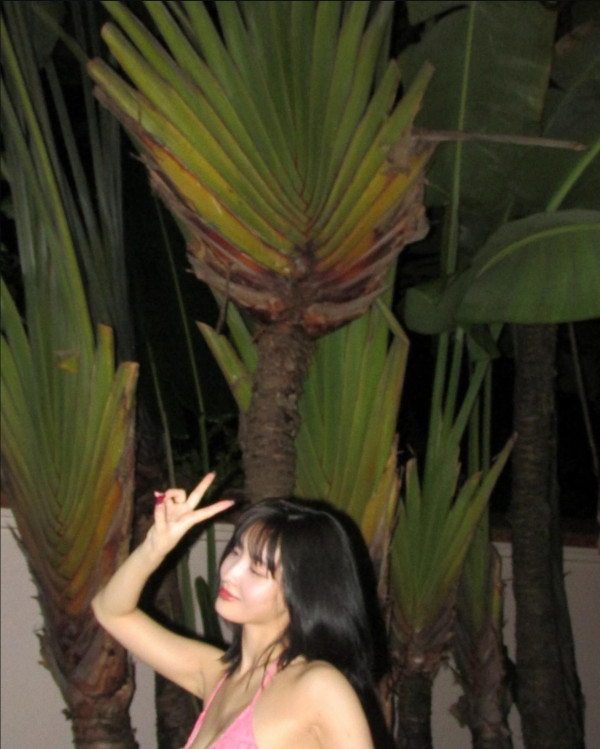 애매하게 가린 트와이스 모모 핑크색 끈비키니 몸매