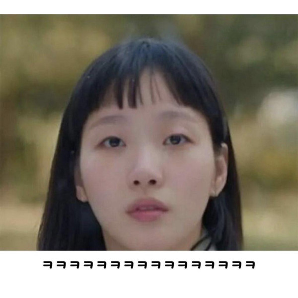 손석구, 김고은 등 연예인 닮은 강아지