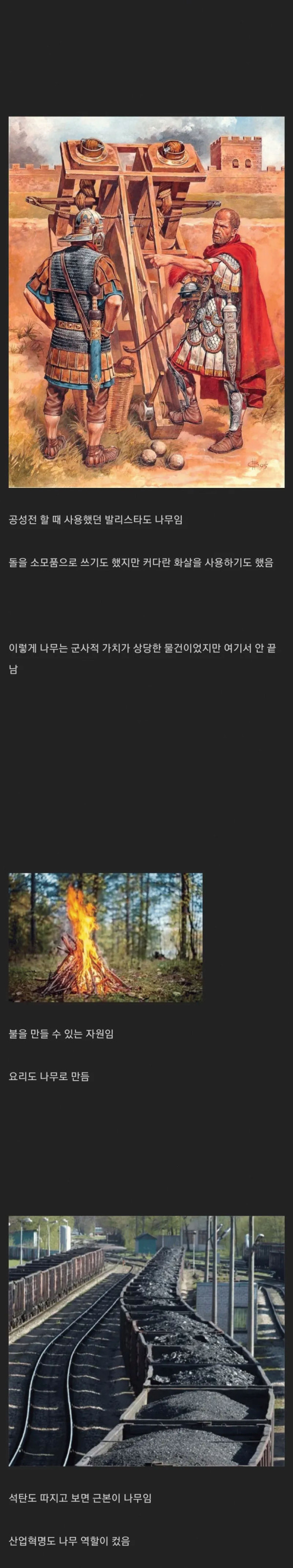 나무는 얼마나 사기 자원이었는가