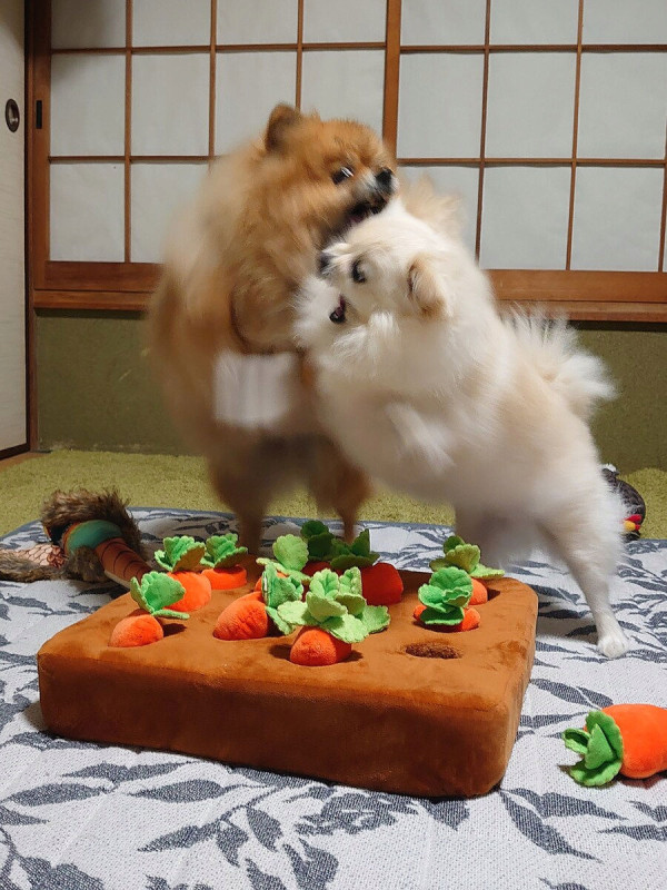 오이를 찍었을 뿐인데...