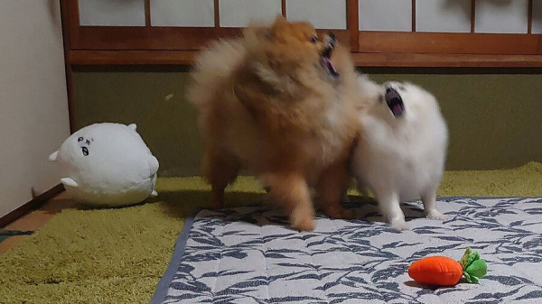 오이를 찍었을 뿐인데...