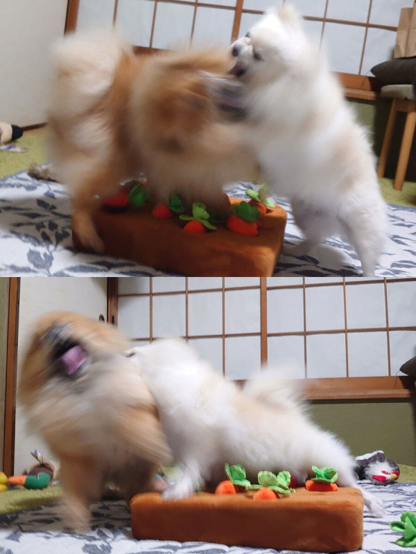 오이를 찍었을 뿐인데...