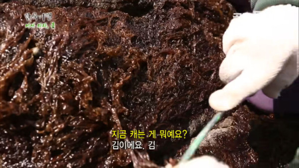 갑작스런 기상악화로 섬에 갇혀버린 제작진