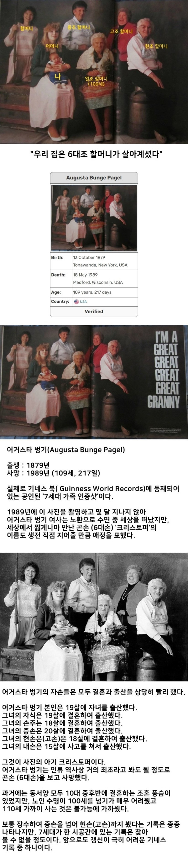 미국 가족사진 대회 우승작 레전드