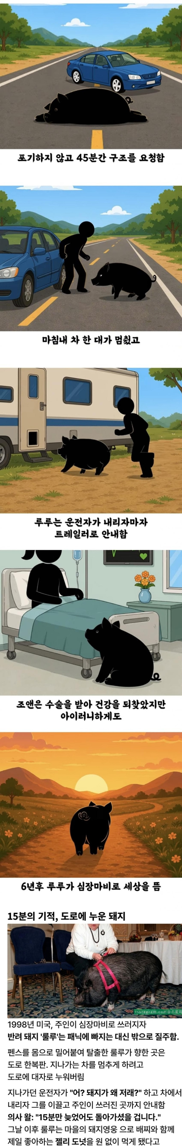 돼지 덕분에 살아난 여자