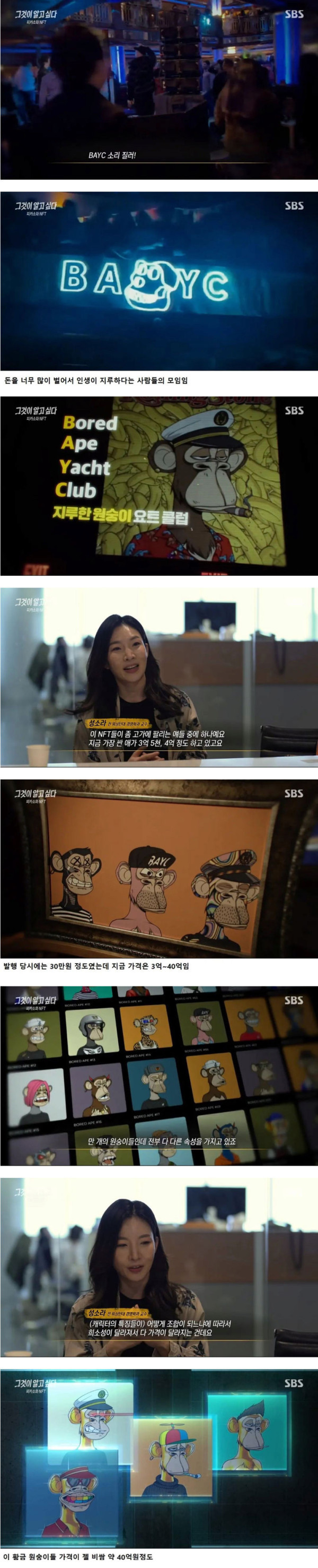 가상의 원숭이를 사고 판다는 요즘 세대들