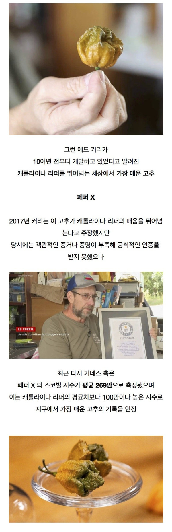 세계에서 가장 매운 고추 등장