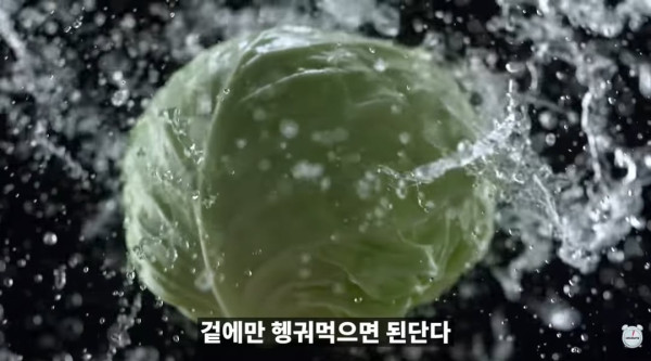 양배추 대충 씻어 먹어도 되는 이유
