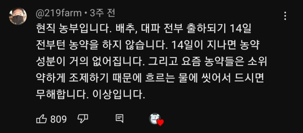 양배추 대충 씻어 먹어도 되는 이유