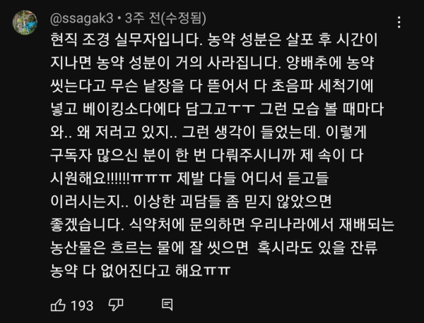 양배추 대충 씻어 먹어도 되는 이유