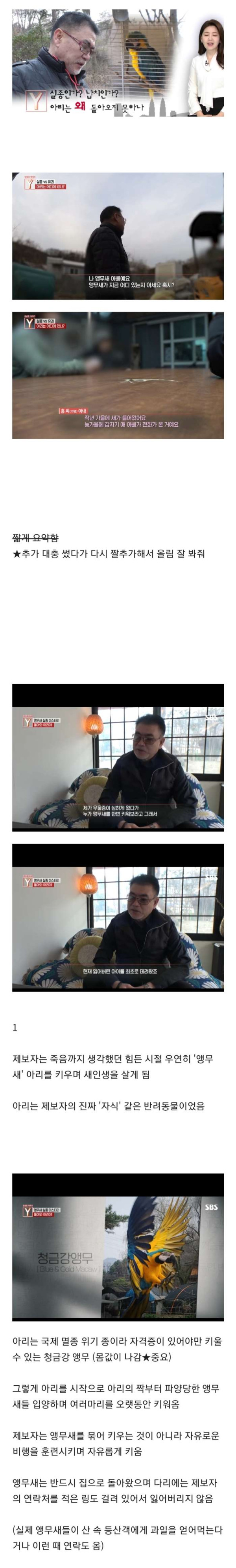 궁금한 이야기 Y에 나왔던 앵무새 실종사건