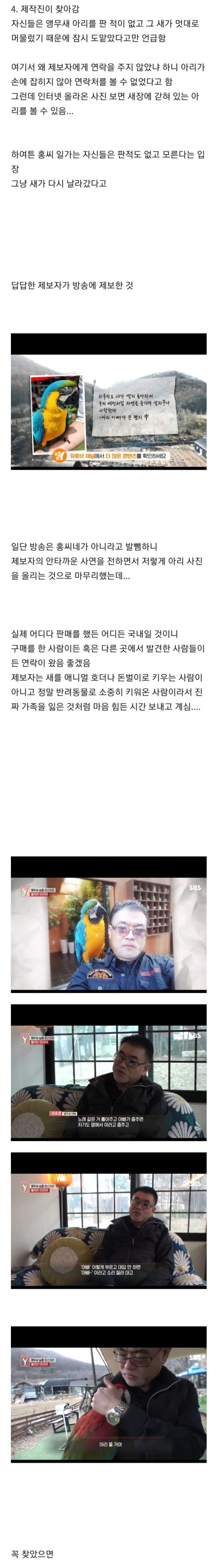 궁금한 이야기 Y에 나왔던 앵무새 실종사건