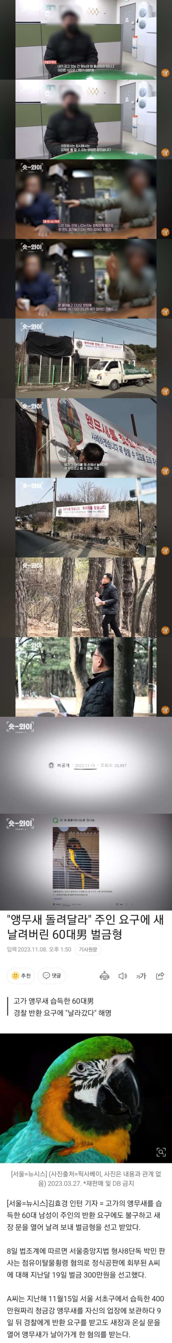 궁금한 이야기 Y에 나왔던 앵무새 실종사건