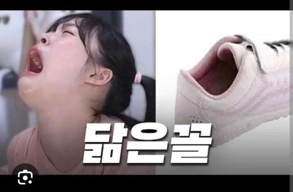 너무 솔직한 여자 스트리머(꼰대희)