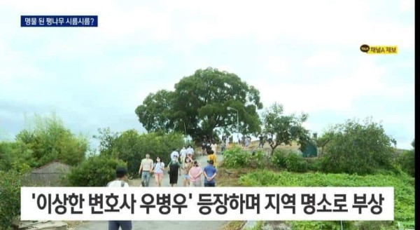 이상한 변호사 우병우