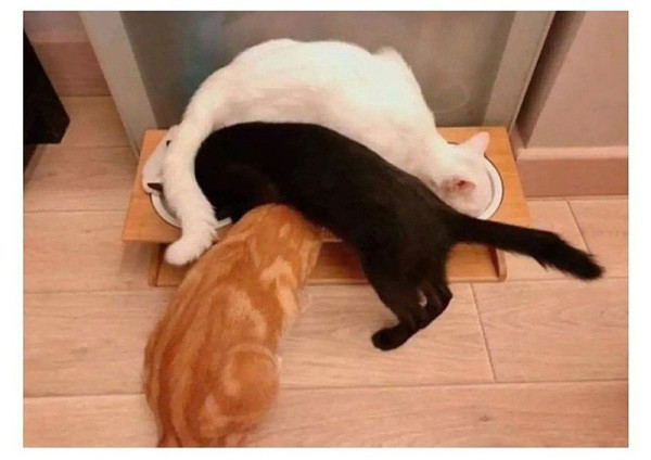 의외로 코딩이 잘 된 사례