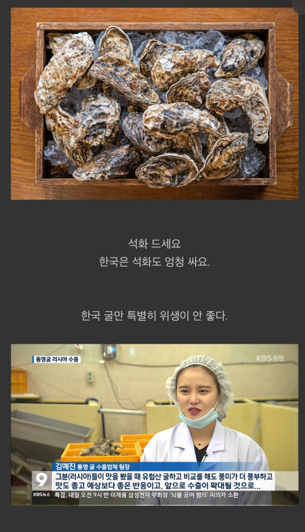 한국과 유럽의 굴 가격때문에 생겨난 몇가지 오해