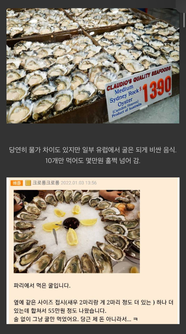 한국과 유럽의 굴 가격때문에 생겨난 몇가지 오해