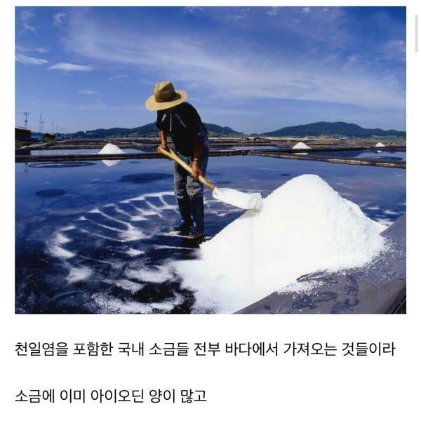 전세계적으로 섭취가 부족해서 문제일어난다는 영양소