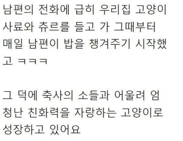 목장으로 찾아온 고양이의 친화력