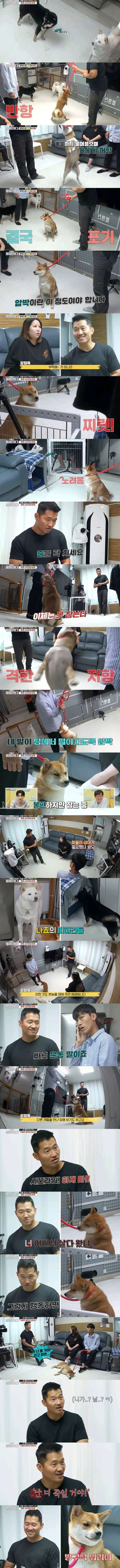 강형욱 "니가 날 물거야? 난 널 죽일거야!"