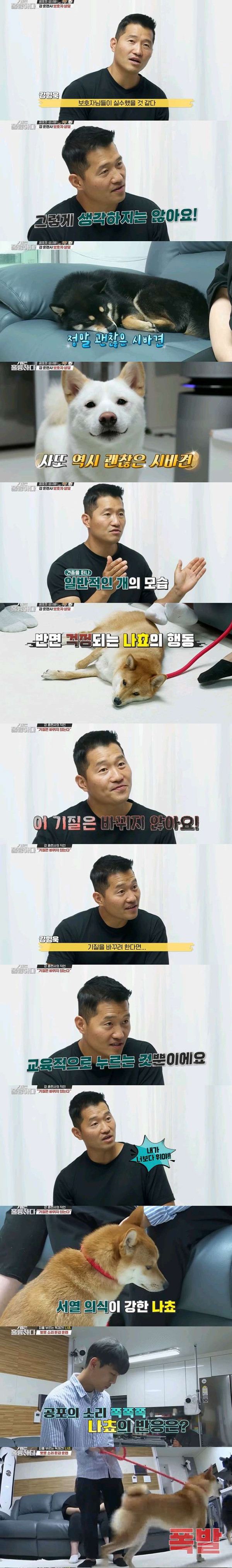 강형욱 "니가 날 물거야? 난 널 죽일거야!"