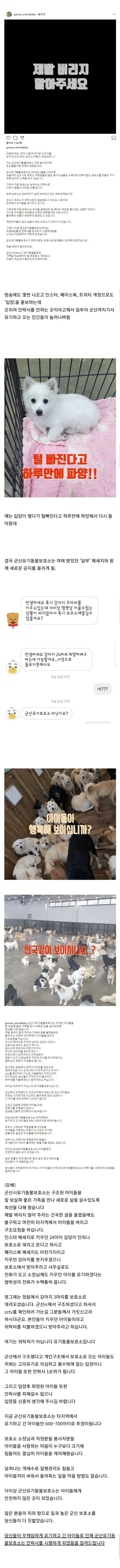 유기견 보호소에서 안락사 안하면 발생하는 일