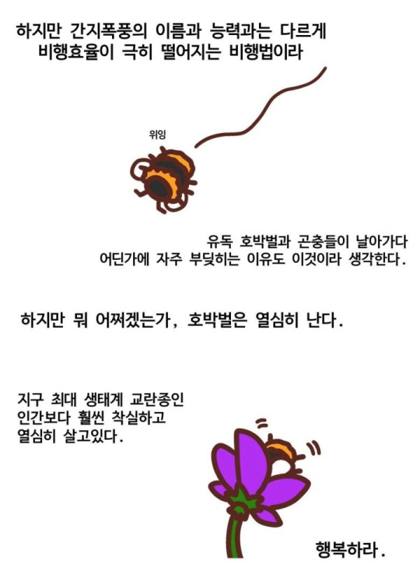 호박벌이 날 수 있는 진짜 이유