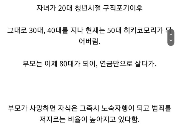 일본 히키코모리 근황