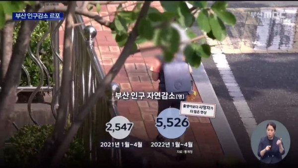 부산 인구 근황