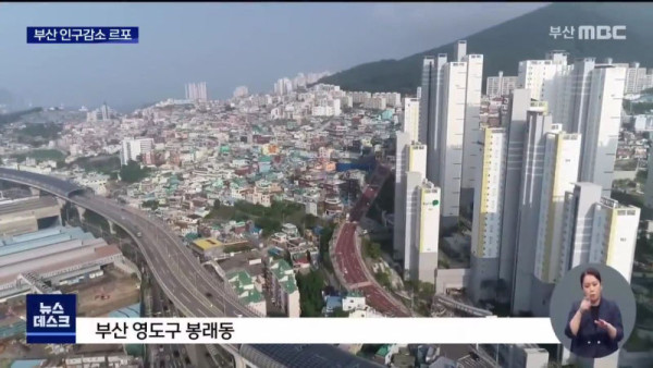 부산 인구 근황