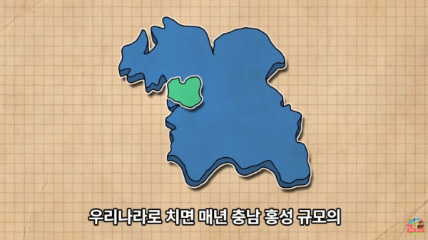 최근 미국 MZ세대 사망 원인 1위