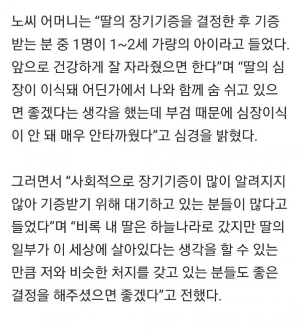 프리다이빙 강습 받다 뇌사 빠진 30대女