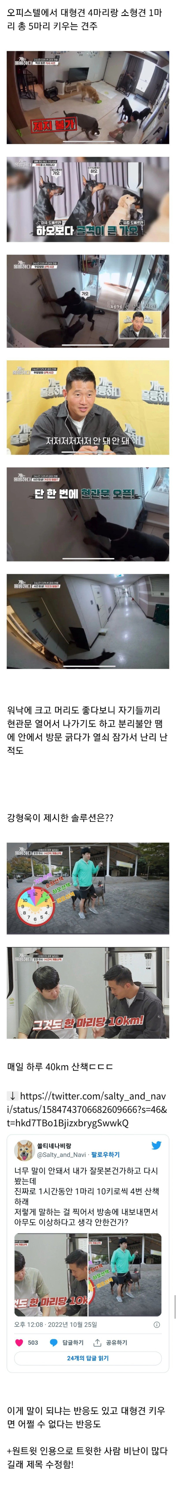 대형견 4마리를 오피스텔에서 키우는걸 본 강형욱