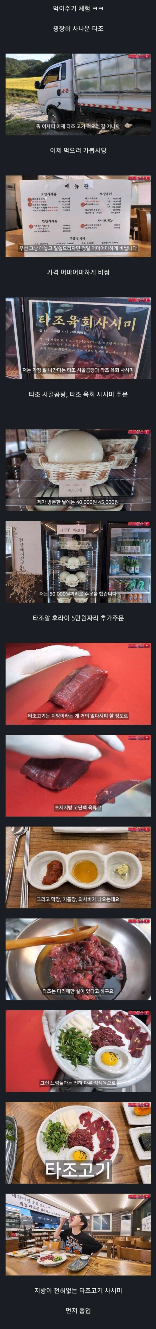 비싼 타조고기 먹어본 유튜버