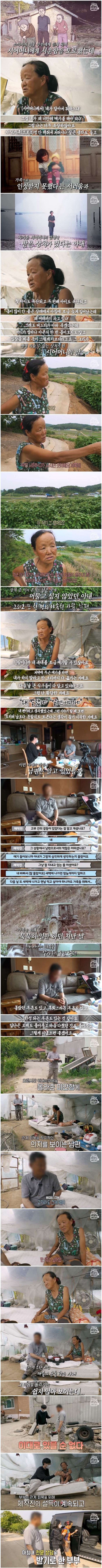집 놔두고 12년 동안 비닐하우스에서 산 여인