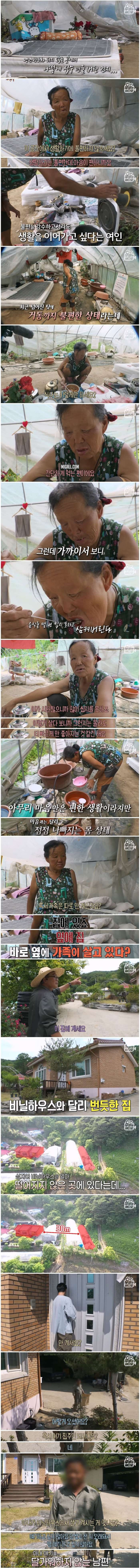 집 놔두고 12년 동안 비닐하우스에서 산 여인