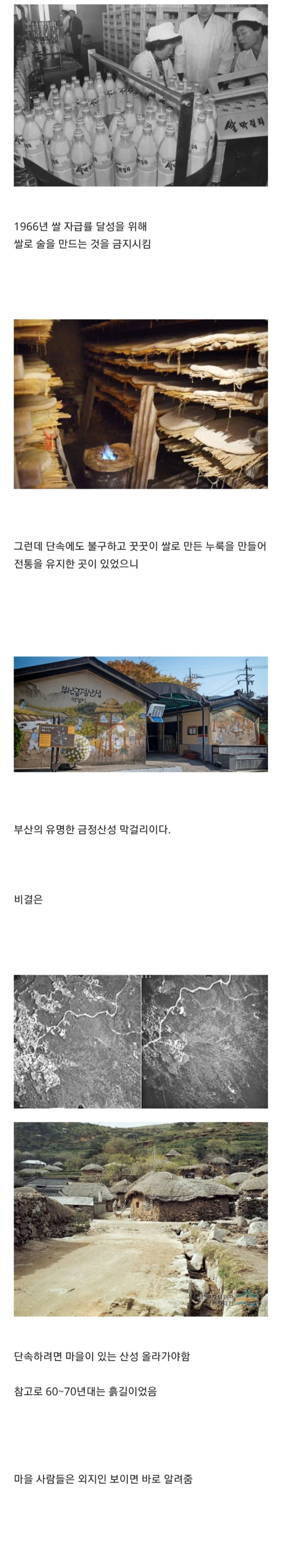 쌀 막걸리가 불법이던 시절