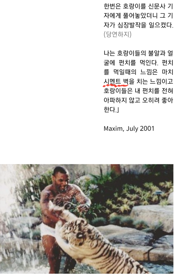 호랑이와 싸운 후기