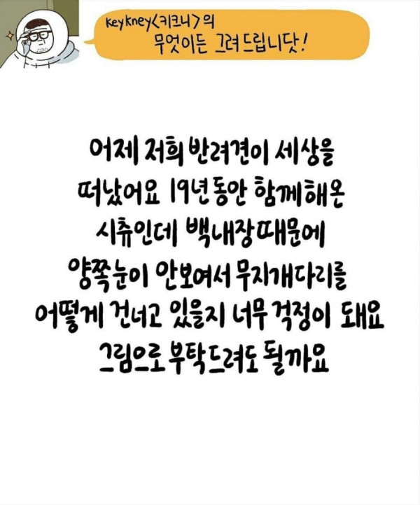 양쪽 눈이 안보이는 시츄