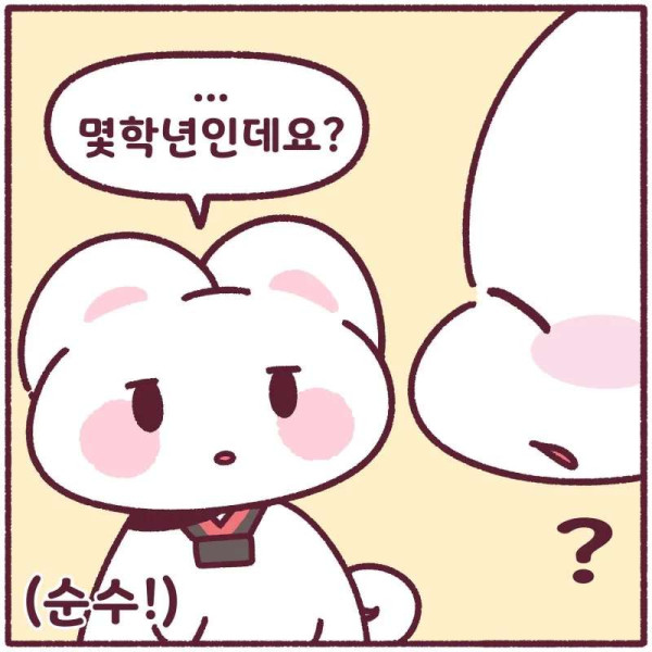 어린이들의 나이개념