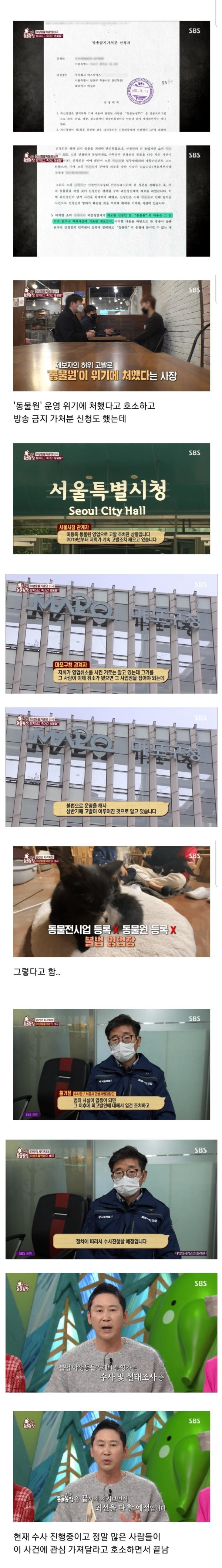 현재 난리난 동물농장에 나온 동물카페 사장
