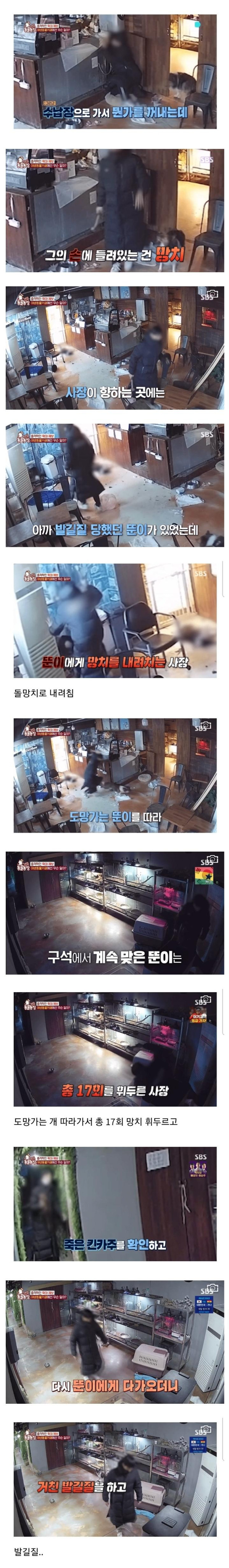 현재 난리난 동물농장에 나온 동물카페 사장