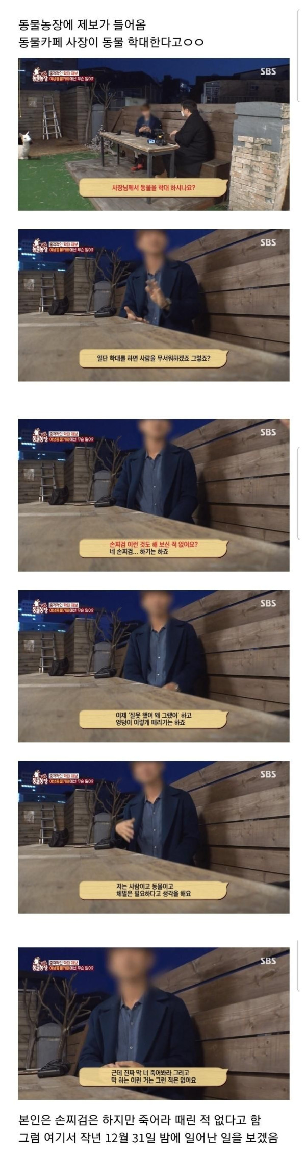 현재 난리난 동물농장에 나온 동물카페 사장