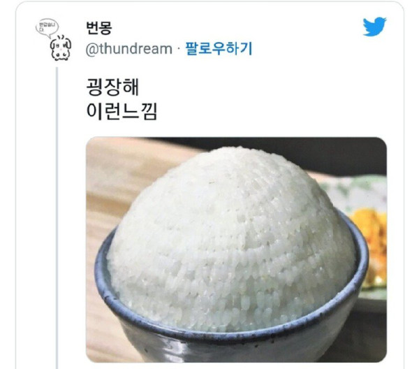 트위터에서 난리난 어느 인형 미용사