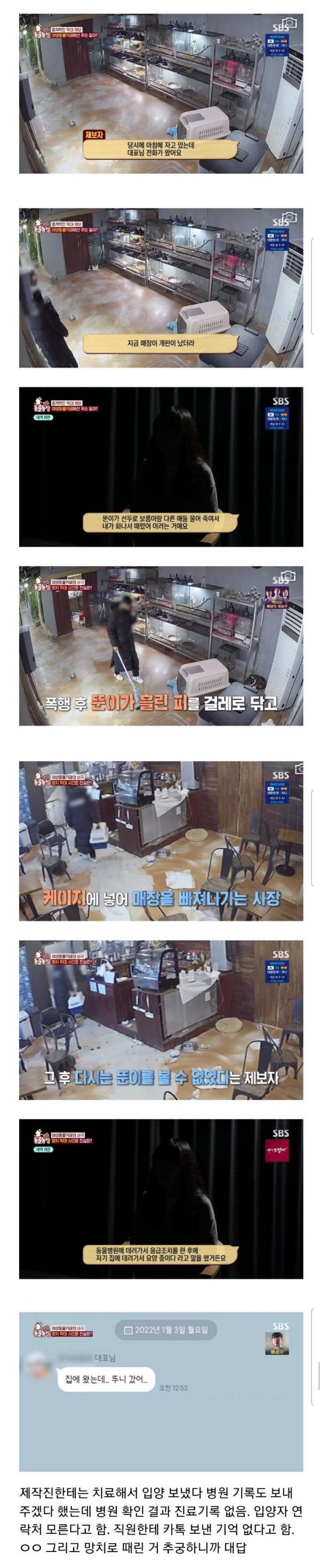현재 난리난 동물농장에 나온 동물카페 사장