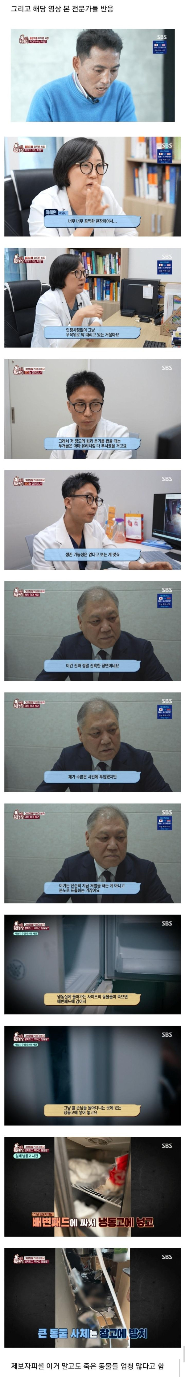 현재 난리난 동물농장에 나온 동물카페 사장